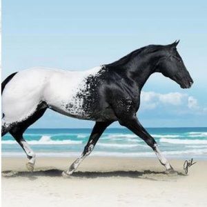 Meet your Posher, Aubrey